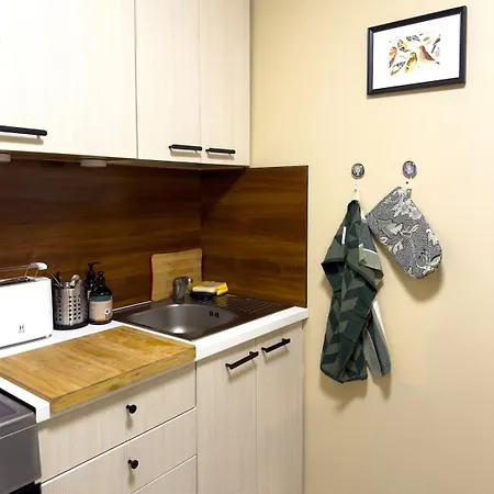 Stylish 2-room Near Kadriorg Lejlighed