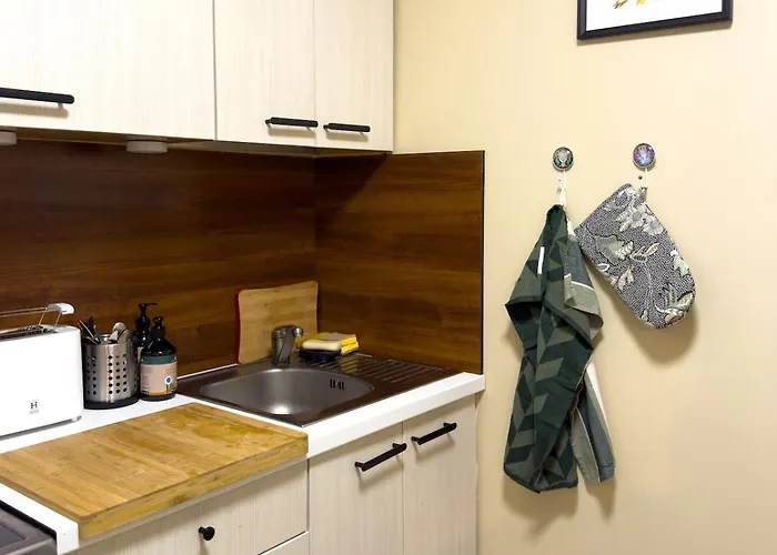 Stylish 2-room Near Kadriorg Lejlighed