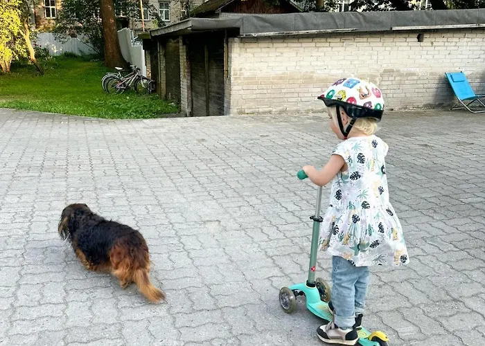 Stylish 2-room Near Kadriorg Lägenhet